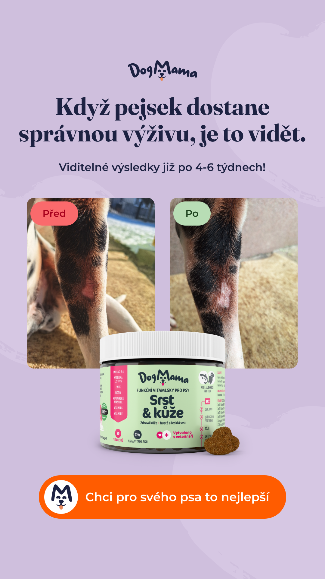 Reklamní banner - DogMama